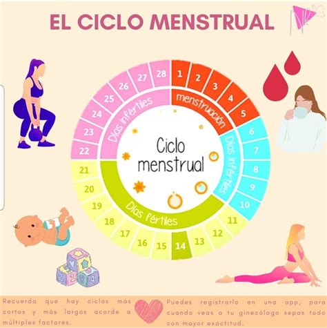 Método Ogino-Knaus - Wikipedia, la enciclopedia libre | Anticonceptivos naturales, Metodo del ...