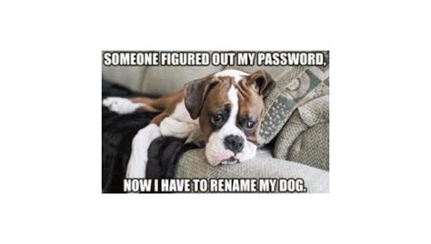Image result for Cyber Security Meme Human Error
