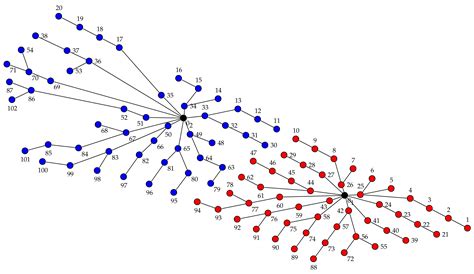 Wind Farm Cable Connection Layout Optimization with Several Substations