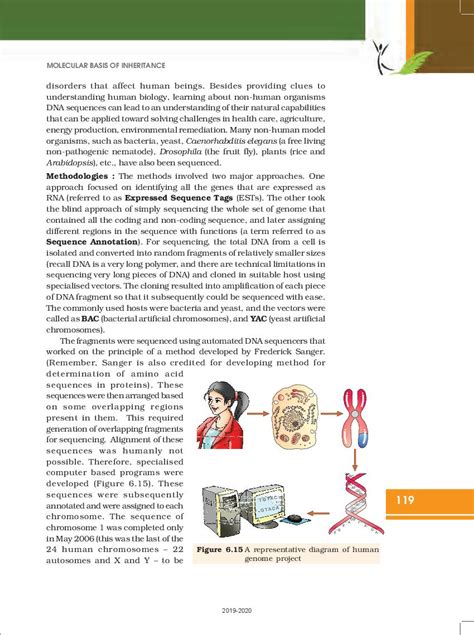 Image result for Class 12 Chapter 6 Evolution