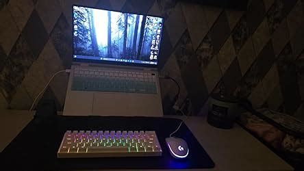 Amazon.in: Buy ZEBRONICS Zeb-Max Ninja 61 Keys Wireless Mechanical ...