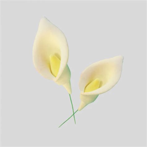 Arum Lily Cutters and Veiner