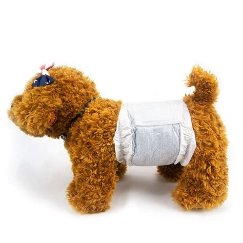 Buy DONO Disposable Doggie Diapers Male Dog Wraps Puppy Diapers for ...