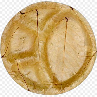 Dona Pattal HD Image PNG Isolated - Pngsource