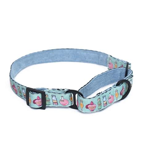 Harry Potter - Potions in Motion - Dog Martingale Collar – Nutty's Den