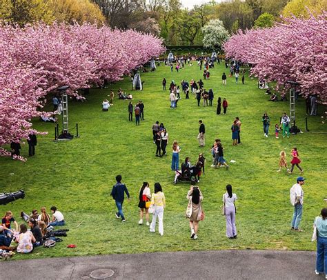 THE SPOT (2025) All You Need to Know BEFORE You Go (with Photos ...