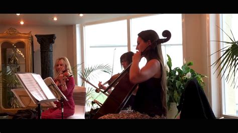 Image result for Classical String Trio