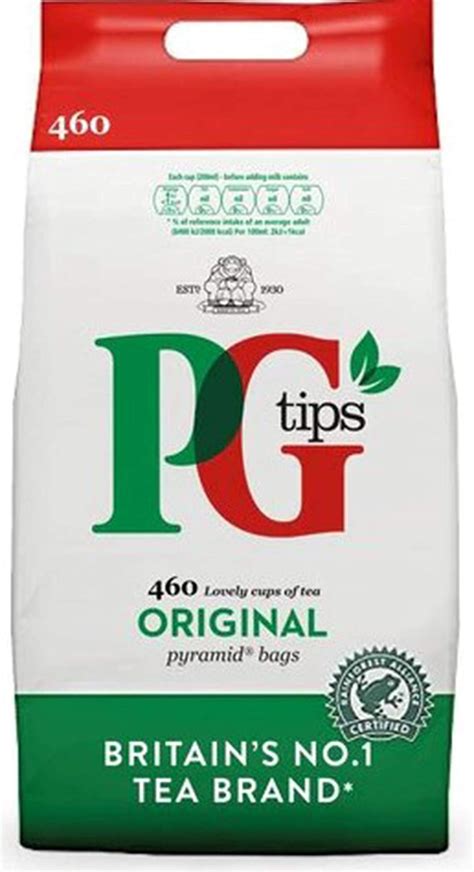 Amazon.com : PG Tips Original Pyramid Tea Bags (Pack of 1, Total 460 ...