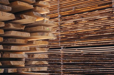 科技创新 临沂木业向现代化产业转型升级-木业网