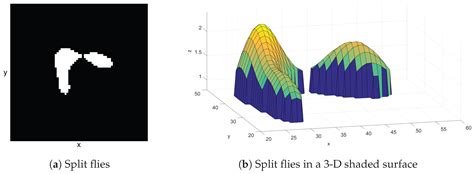 Multiple Drosophila Tracking System with Heading Direction