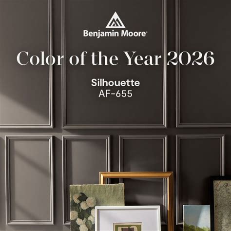 Benjamin Moore’s 2026 Color of the Year - The Color House Professional ...