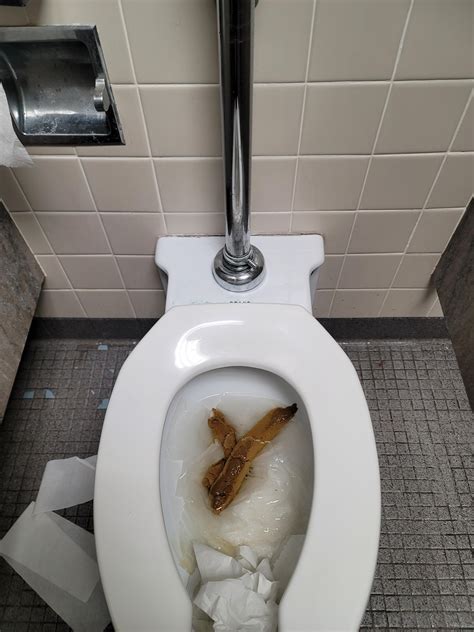 White dots in poop normal? : r/poop