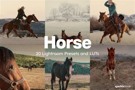 ArtStation - 20 Horse Lightroom Presets and LUTs | Resources