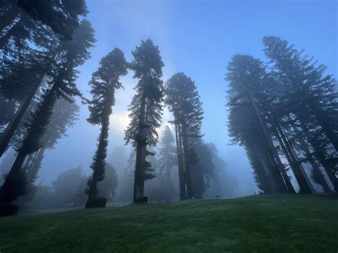 Some golf p0rn for you. Got to play Northwood golf course and Harding Park last week. Simply ...