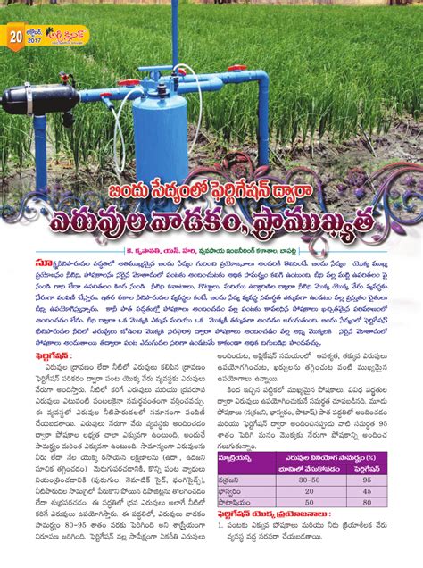 Image result for Fertigation Drip Irrigation