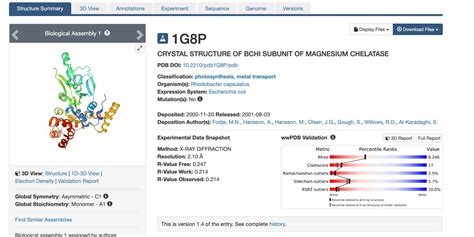 PDB File Type 的图像结果