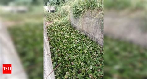 Haveri City Flooding Crisis: Clogged Canals Cause Tragedy and Chaos ...