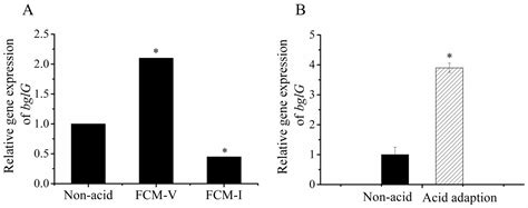 bglG Regulates the Heterogeneity Driven by the Acid Tolerance Response ...