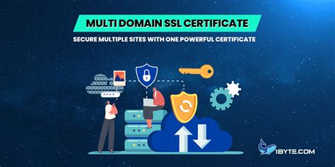 Image result for SSL Multi-Domain