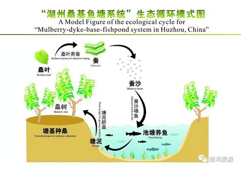 电商平台需要的检验报告怎么办理？一定要CNAS和CMA抬头 - 知乎