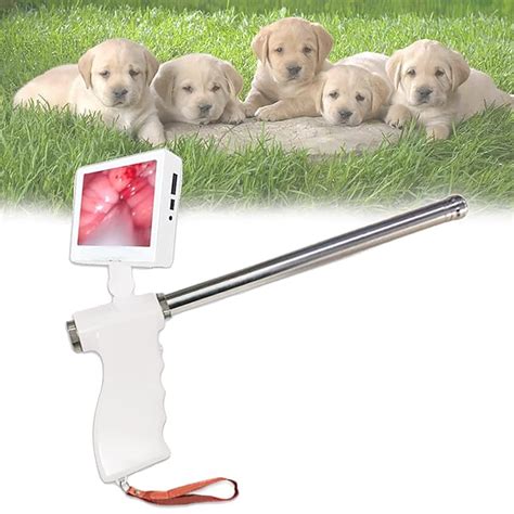 Buy Artificial Insemination Gun, Dog Visual Endoscope Sperm Artificial ...