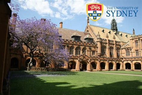 悉尼大学留学申请：申请流程、条件盘点 | myOffer®