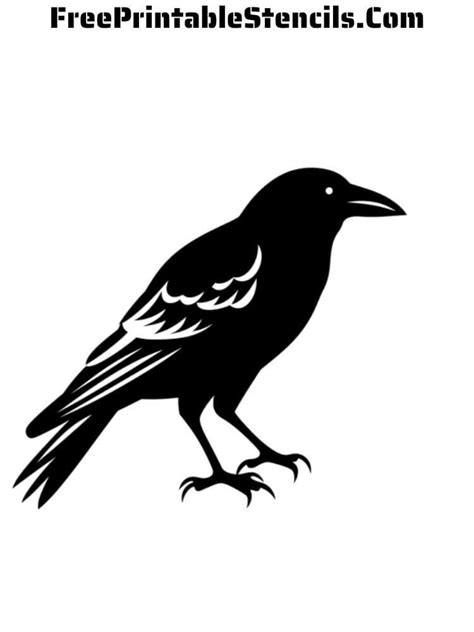 Image result for Crow Pattern-Free