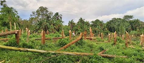 Jubilee Radio - The joy of the family