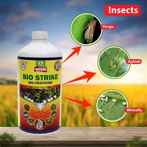 Multiplex Bio Strike Pesticide – Agriplex