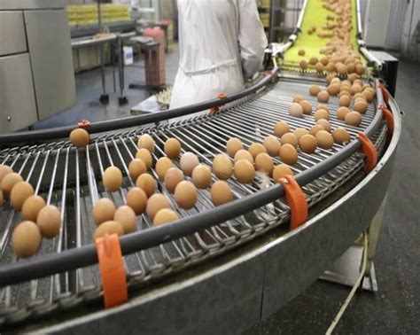 Image result for Processing Line