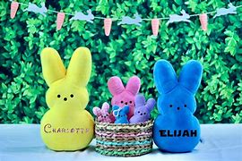 Image result for Personalized Peeps