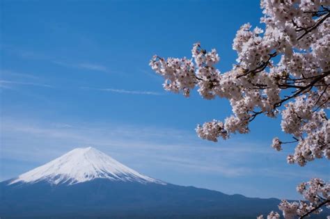 Discover Japan: A Self-Drive Journey from Tokyo to Mt. Fuji | Avis India