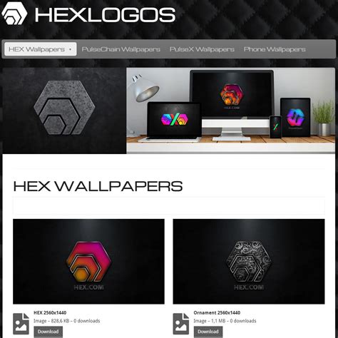 Image result for Pulse Chain