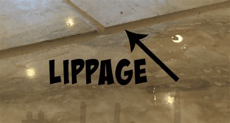 Image result for Lippage Out