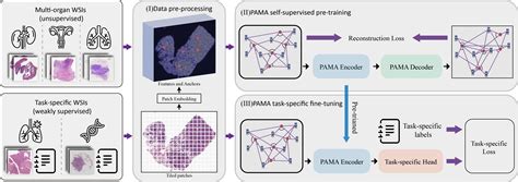 Pyramid Scan Project 的图像结果