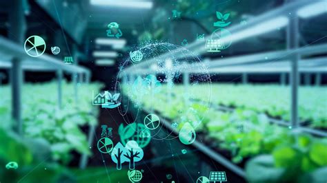 Superprodução na moda: o segredo sujo e suas consequências ambientais ...