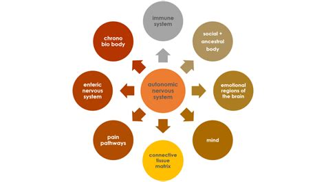 Image result for Mind and Brain Connection