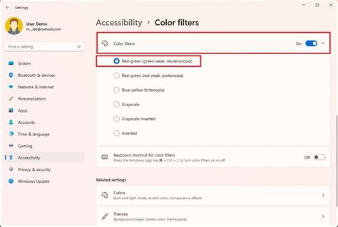 Image result for Windows 11 Camera Filters