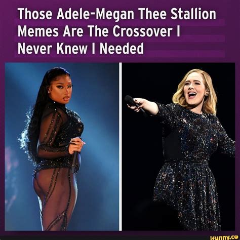 Those Adele-Megan Thee Stallion Memes Are The Crossover I Never Knew I ...