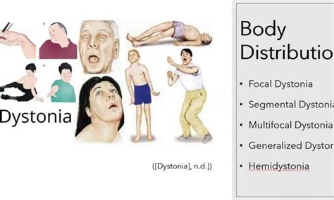 Image result for Classification Algorithms