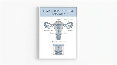 Pap Smear Spotting After: Normal or Concerning? | Health Encyclo