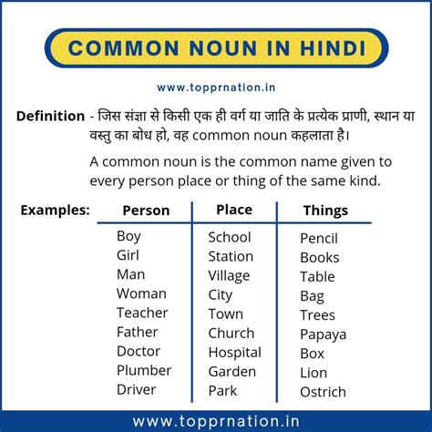 Noun Definition And Types With Examples In Hindi - Free Printable Download