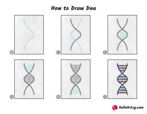 Dna Strand Easy Drawing at Henry Storms blog