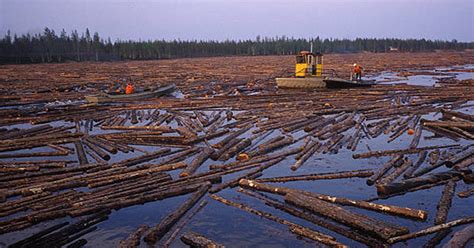 Floating Log 的图像结果
