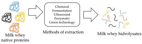 Milk Whey Hydrolysates as High Value-Added Natural Polymers: Functional ...
