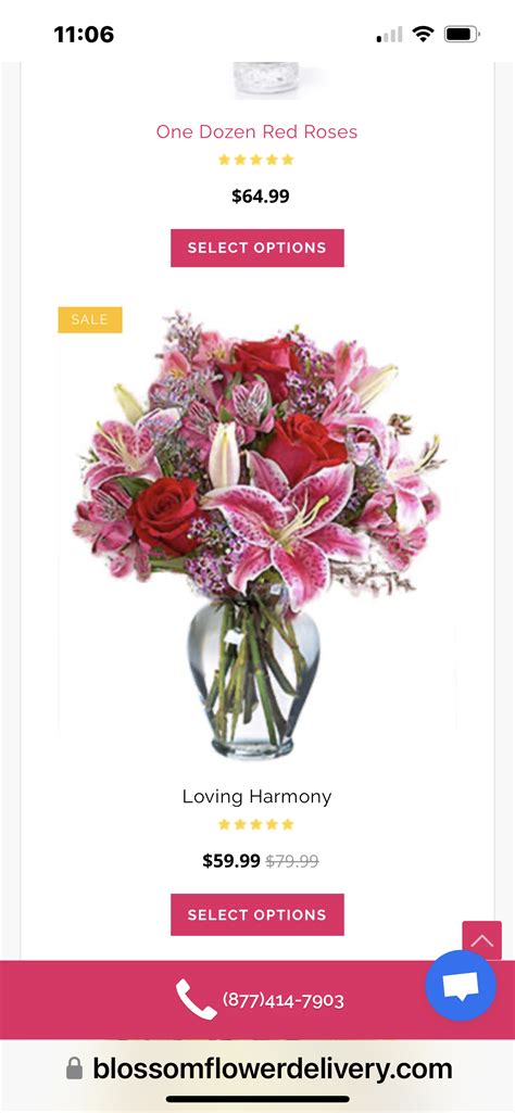 Blossom Flower Delivery Reviews - 618 Reviews of Blossomflowerdelivery ...