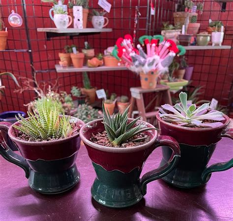 Growing Hobby (Florence) - All You Need to Know BEFORE You Go