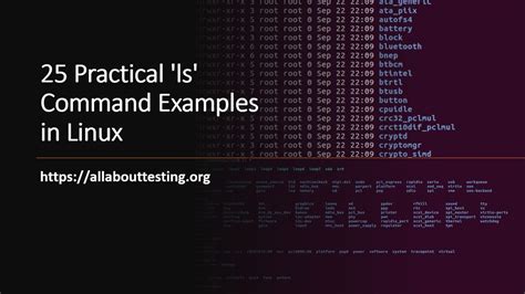 Image result for Unix Ls Command Examples