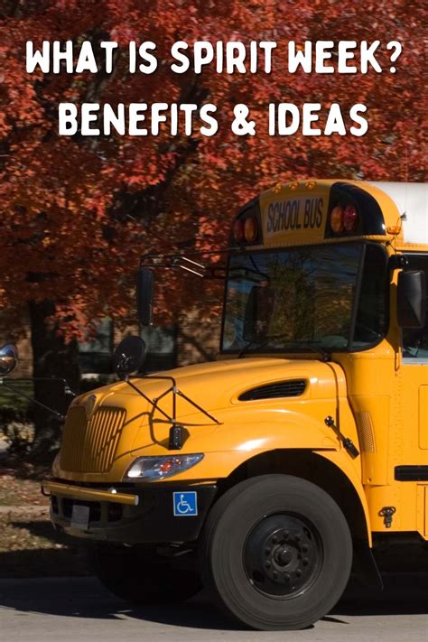 What is Spirit Week? Benefits & Ideas - momma teen