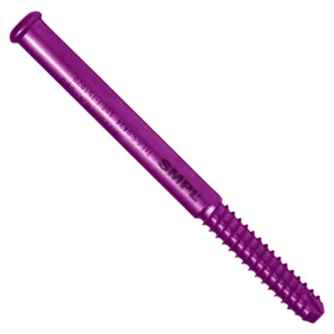 Femoral Nail - Antirotation Proximal Femoral Nail Manufacturer from ...